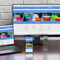 Anna Realty website